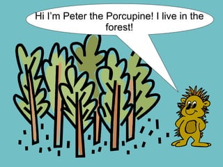 Hi I’m Peter the Porcupine! I live in the forest! 