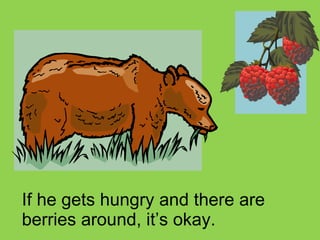 If he gets hungry and there are berries around, it’s okay.  