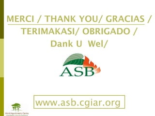 MERCI / THANK YOU/ GRACIAS /  TERIMAKASI/ OBRIGADO /  Dank U  Wel/  www.asb.cgiar.org 