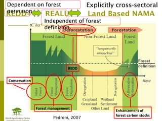 Peterasbscienceweekupdatesept2011 110912073400-phpapp01