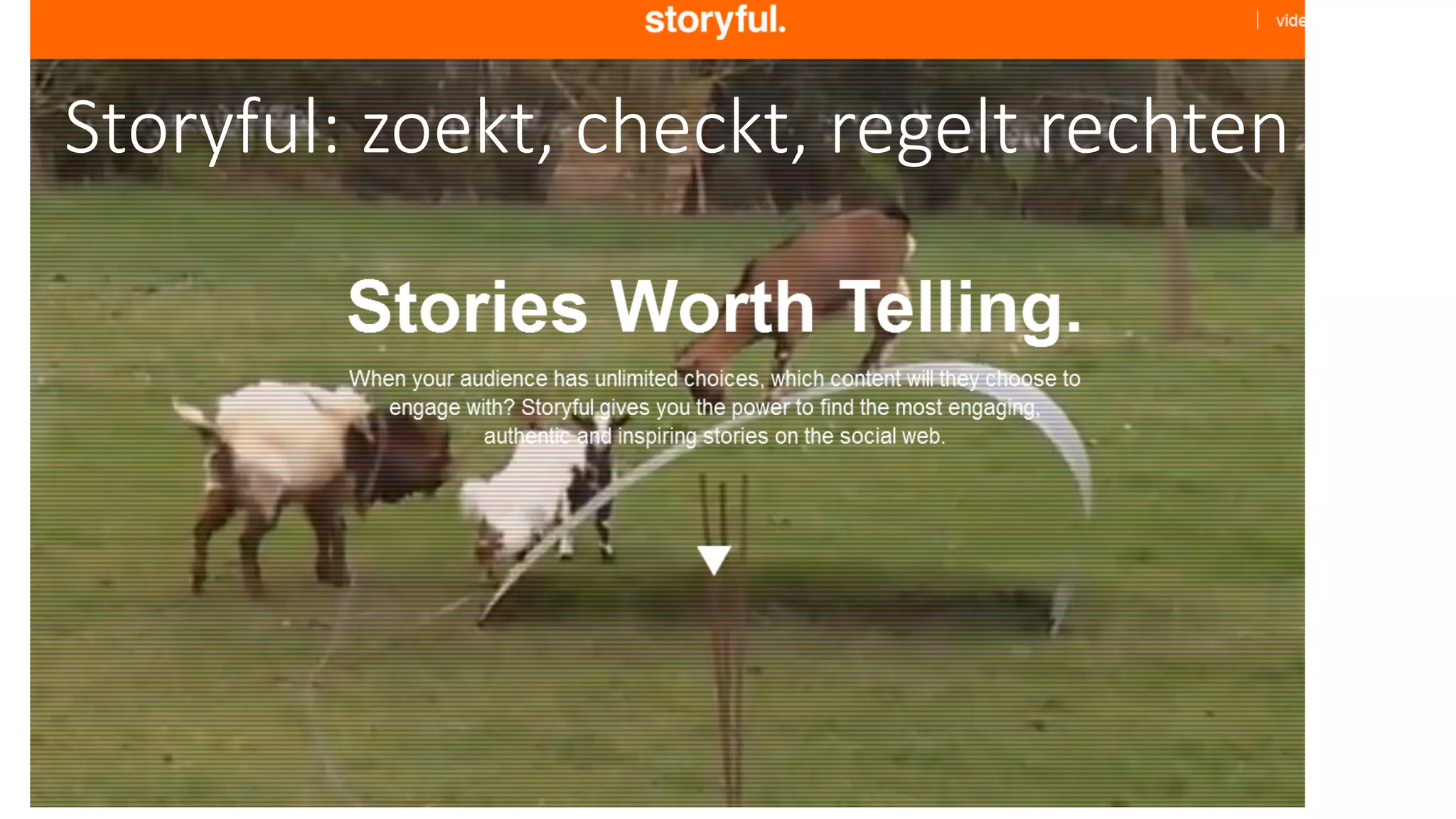 Storyful: zoekt, checkt, regelt rechten
 
