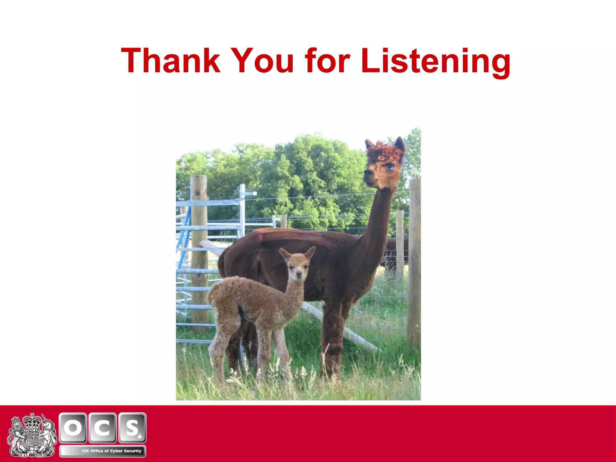 Thank You for Listening 