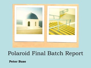 Polaroid Final Batch Report Peter Buse 