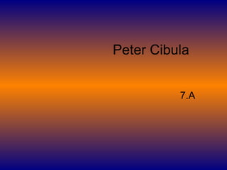 Peter Cibula 7.A 