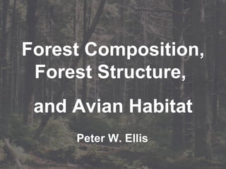 Forest Composition, Forest Structure,  and Avian Habitat Peter W. Ellis 