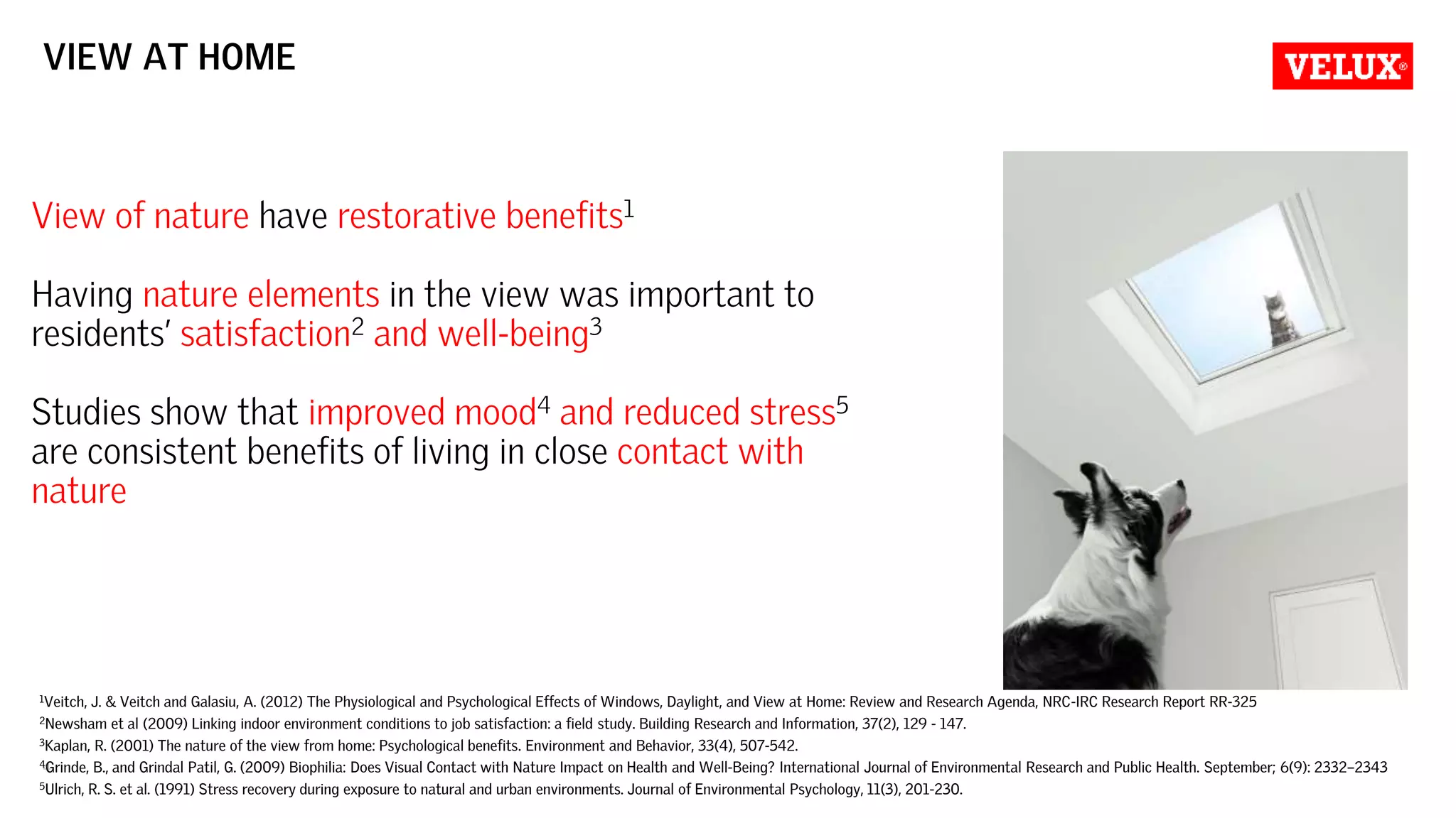 Impact of light on human well-being and productivity | PPTX - Natural Light And Human Performance