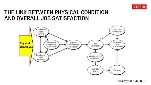 Link Between Biophilic Design And Productivity Link Between Biophilic Design And Productivity