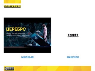 церебро.рф pepper.ninja
 