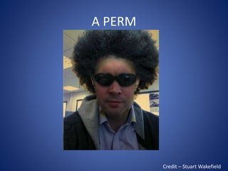 A PERM
Credit – Stuart Wakefield
 
