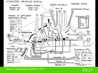 Peter Head - Urban Design For The Ecological Age