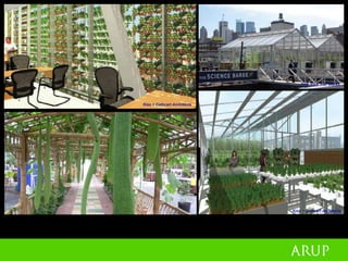 Peter Head - Urban Design For The Ecological Age