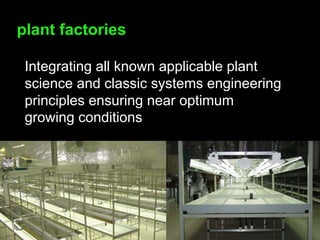 Peter Head - Urban Design For The Ecological Age