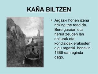 KAÑA BILTZEN Argazki honen izena ricking the read da. Bere garaian eta herria zeuden lan ohiturak eta kondizioak erakusten digu argazki  honekin. 1886-ean eginda dago. 