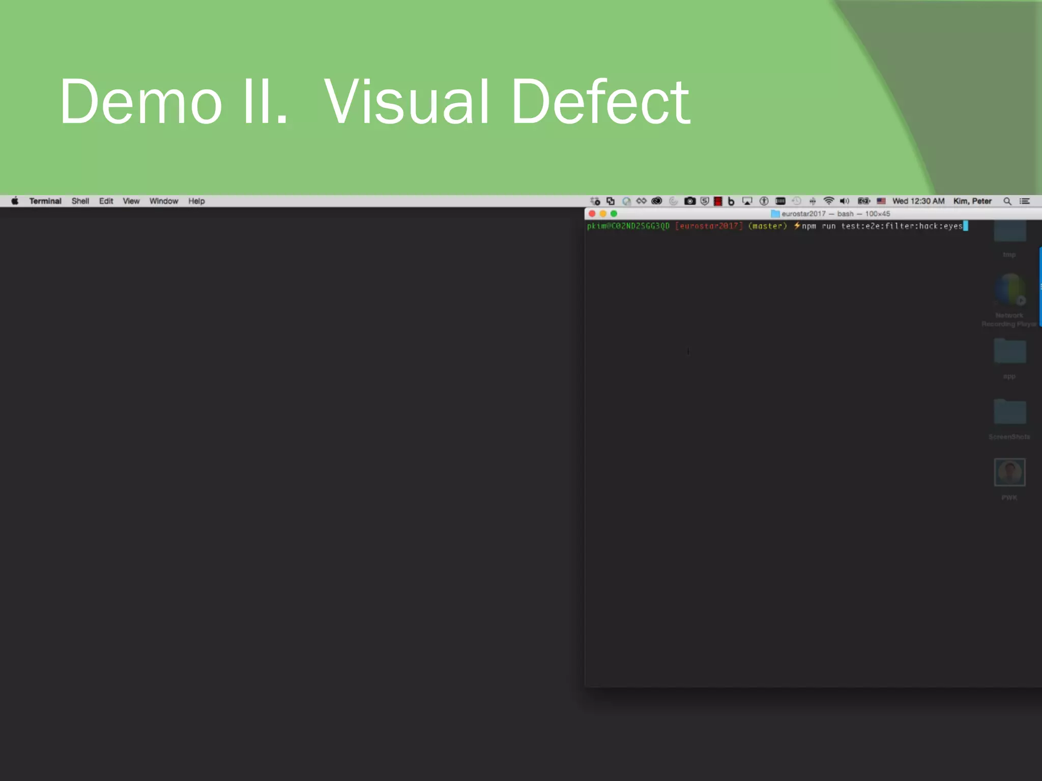 Demo II. Visual Defect
 