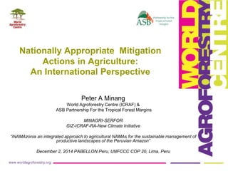 Nationally Appropriate Mitigation 
Actions in Agriculture: 
An International Perspective 
Peter A Minang 
World Agroforestry Centre (ICRAF) & 
ASB Partnership For the Tropical Forest Margins 
MINAGRI-SERFOR 
GIZ-ICRAF-RA-New Climate Initiative 
“iNAMAzonia an integrated approach to agricultural NAMAs for the sustainable management of 
productive landscapes of the Peruvian Amazon” 
December 2, 2014 PABELLON Peru, UNFCCC COP 20, Lima, Peru 
 