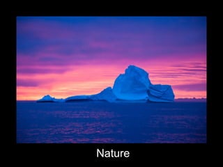 Nature
 