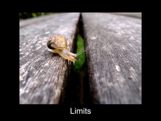 Limits
 
