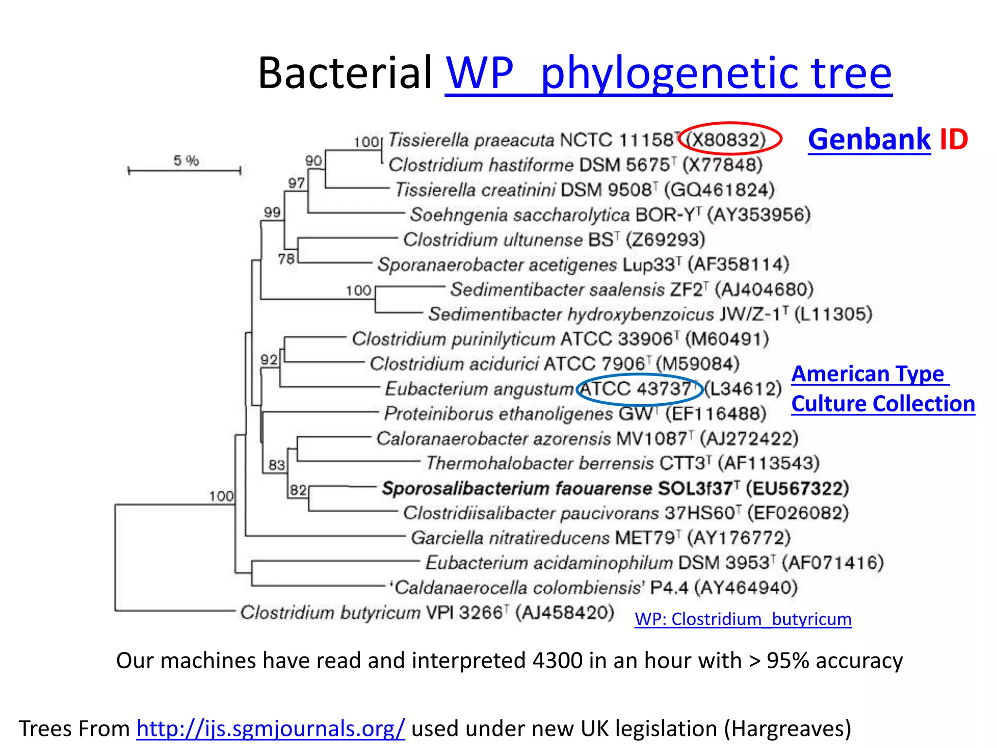 Bacterial WP_phylogenetic tree 
Genbank ID 
American Type 
Culture Collection 
WP: Clostridium_butyricum 
Our machines have read and interpreted 4300 in an hour with > 95% accuracy 
Trees From http://ijs.sgmjournals.org/ used under new UK legislation (Hargreaves) 
 