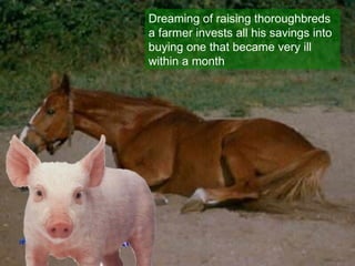 Dreaming of raising thoroughbreds a farmer invests all his savings into buying one that became very ill within a month 