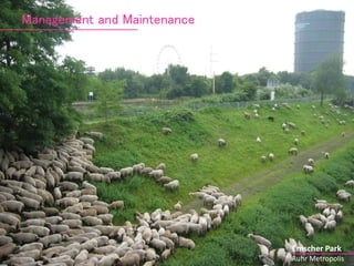 Emscher Park 
Ruhr Metropolis 
Management and Maintenance 
 
