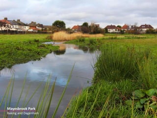 Mayesbrook Park 
Baking and Dagenham 
 