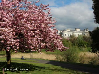Prince’s park, Liverpool 
 