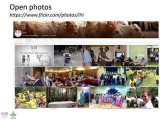 Open access / open publishing at the International Livestock Research Institute 