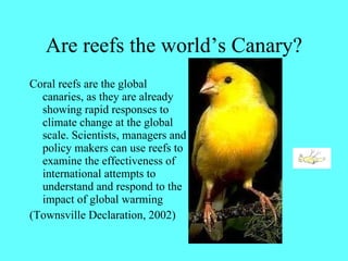 Are reefs the world’s Canary? <ul><li>Coral reefs are the global canaries, as they are already showing rapid responses to ...
