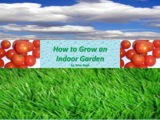 How to Grow an
 Indoor Garden
    by: Peter Rygh
 