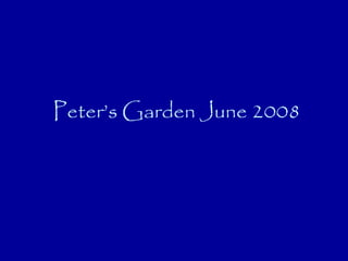 Peter’s Garden June 2008
 