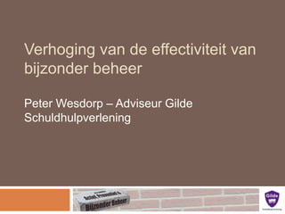 Verhoging van de effectiviteit van
bijzonder beheer
Peter Wesdorp – Adviseur Gilde
Schuldhulpverlening

 