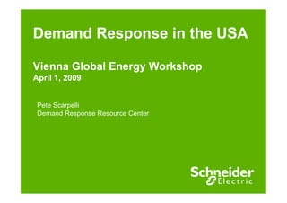 Demand Response in the USA
Vienna Global Energy Workshop
April 1, 2009
Pete Scarpelli
Demand Response Resource Center
 