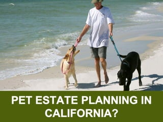 Pet Estate Planning in California?