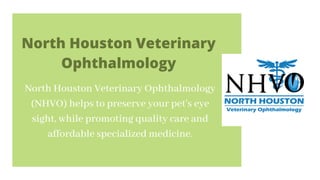 North Houston Veterinary Ophthalmology
(NHVO) helps to preserve your pet's eye
sight, while promoting quality care and
affordable specialized medicine.
North Houston Veterinary
Ophthalmology
 