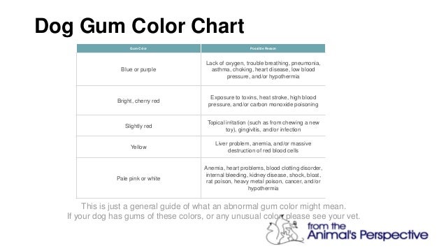 Featured image of post Purple Inhaler Colors Chart