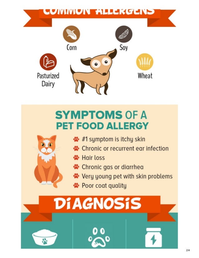 Pet food and allergies