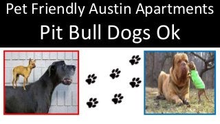 Pet Friendly Austin Apartments
Pit Bull Dogs Ok
 