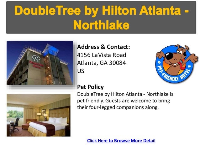 Pet Friendly Hotels Midtown Atlanta Pet Friendly Hotels Midtown Atlanta