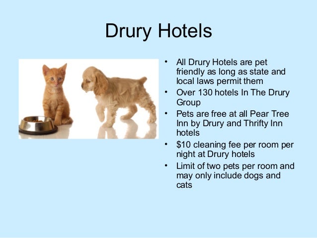 friendly hotel chains friendly hotel chain best chain 2018 friendly hotel chains friendly hotel chain best chain 2018