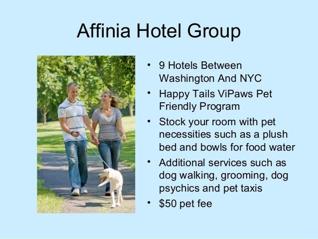 dog friendly hotel chains