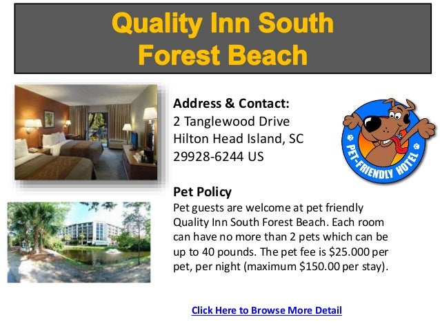 Top Pet Friendly Hotels Lodging Rock Hill Sc