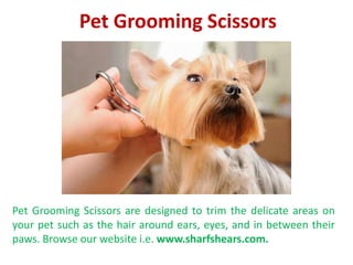 Pet Grooming Scissors
Pet Grooming Scissors are designed to trim the delicate areas on
your pet such as the hair around ears, eyes, and in between their
paws. Browse our website i.e. www.sharfshears.com.
 