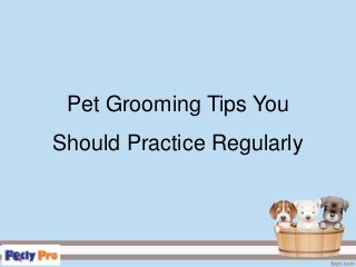 Pet Grooming Tips You
Should Practice Regularly
 