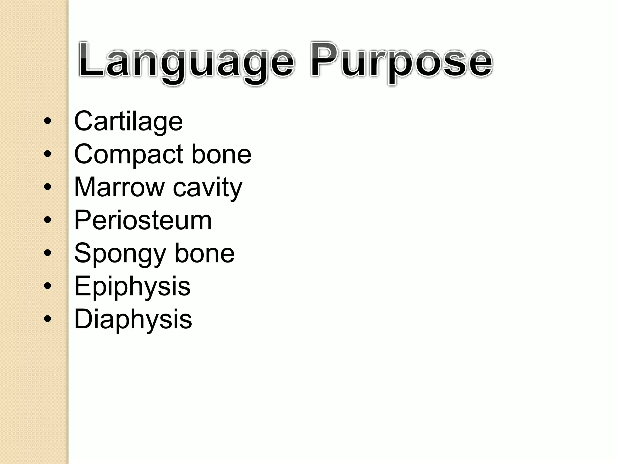 • Cartilage
• Compact bone
• Marrow cavity
• Periosteum
• Spongy bone
• Epiphysis
• Diaphysis
 