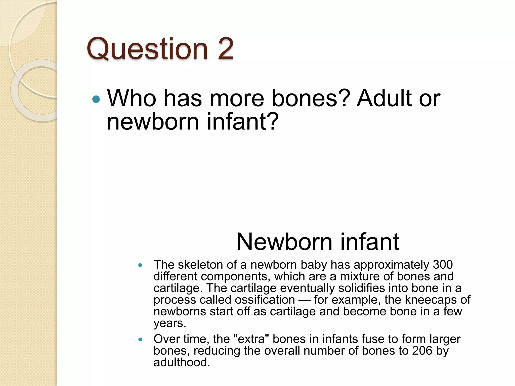 Question 2
 Who has more bones? Adult or
newborn infant?
Newborn infant
 The skeleton of a newborn baby has approximately 300
different components, which are a mixture of bones and
cartilage. The cartilage eventually solidifies into bone in a
process called ossification — for example, the kneecaps of
newborns start off as cartilage and become bone in a few
years.
 Over time, the "extra" bones in infants fuse to form larger
bones, reducing the overall number of bones to 206 by
adulthood.
 