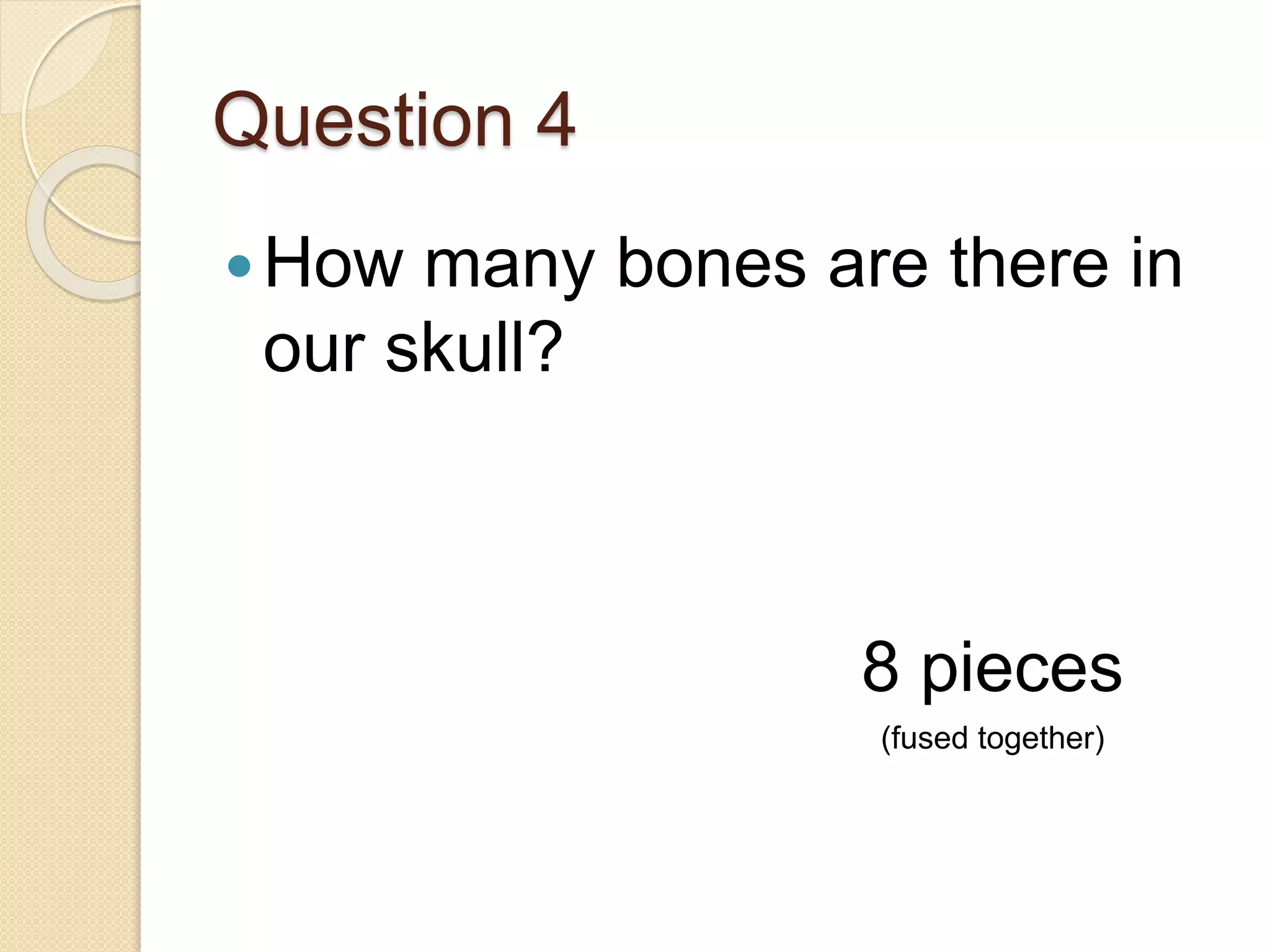 Question 4
How many bones are there in
our skull?
8 pieces
(fused together)
 