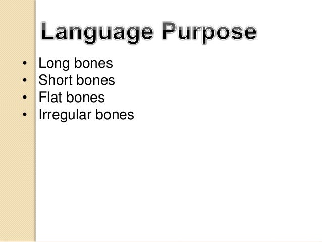 What is the function of long bones?