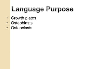 • Growth plates
• Osteoblasts
• Osteoclasts
 