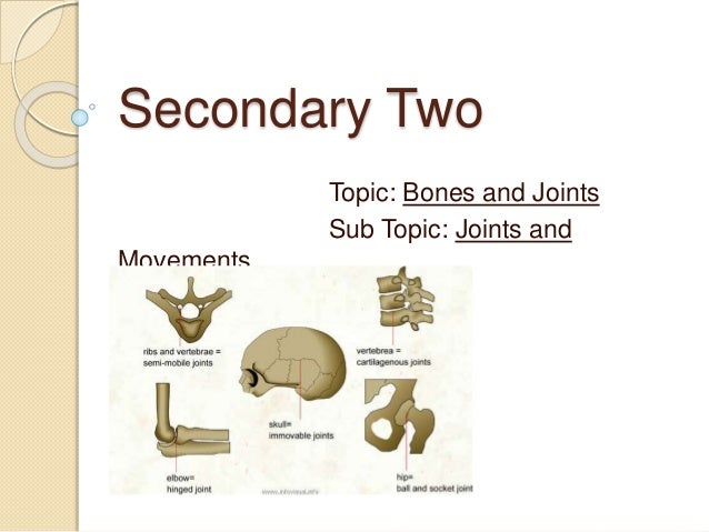 5.4 different kinds of joints