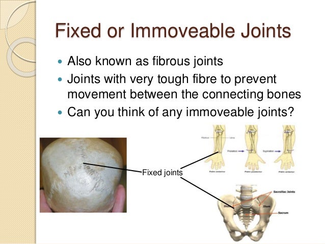 5.4 different kinds of joints